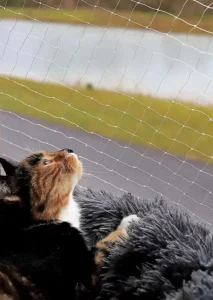 malla discreta para gatos en ventana (Duraflex+)